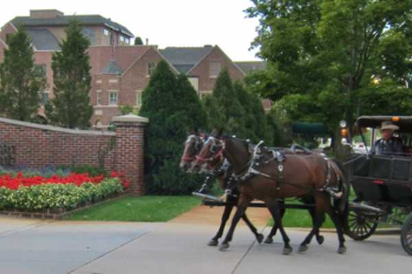 The American Club - horse-drawn carriage 