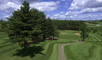 Turtleback GC
