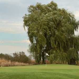 White/Red at Fox Hills R & C