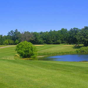 Brighton Dale Links