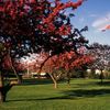 A fall view from Meadowbrook Country Club
