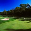 A view of green #15 at Castle Course at Northern Bay