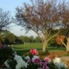 A view of green at Wanaki Golf Course