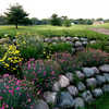 A flowerish view from Country Club Estates