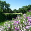 A view of green protected by bunkers at Lawsonia Golf Course